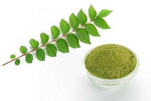 DRY CURRYLEAF POWDER